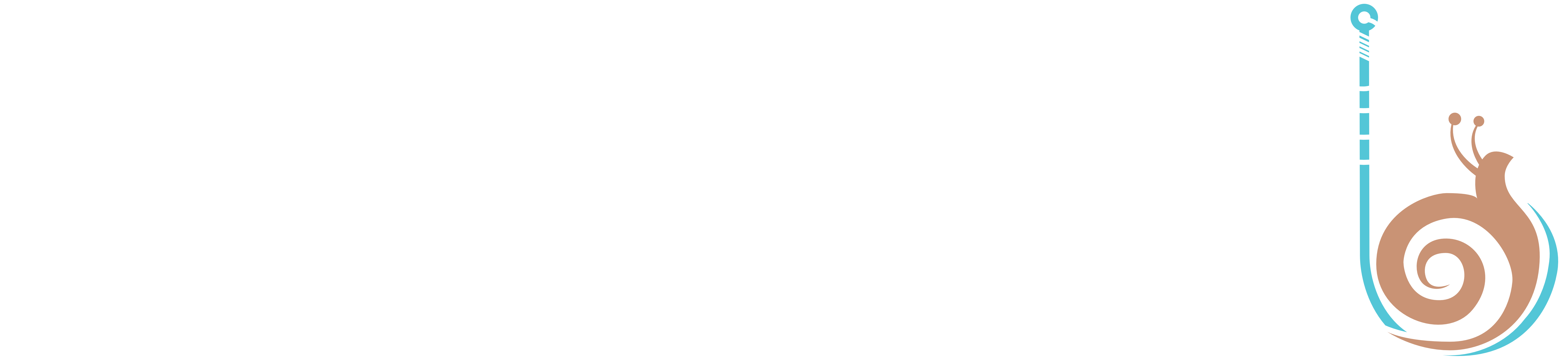 Snail Fishing Baits logo