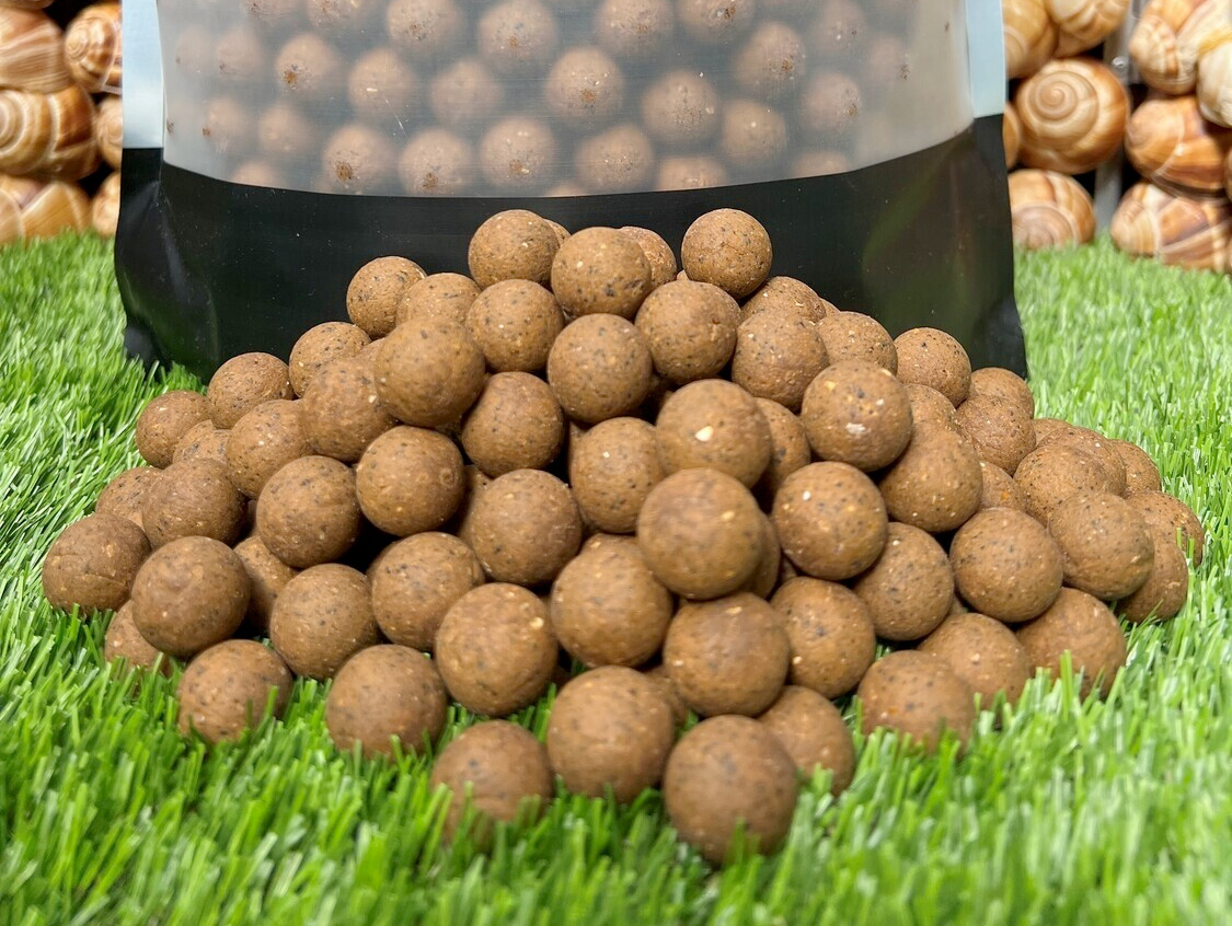 Picture of Snail Boilies