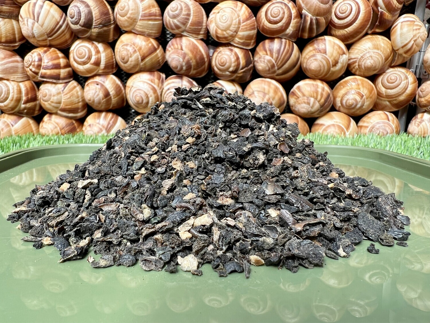 Picture of crushed snail