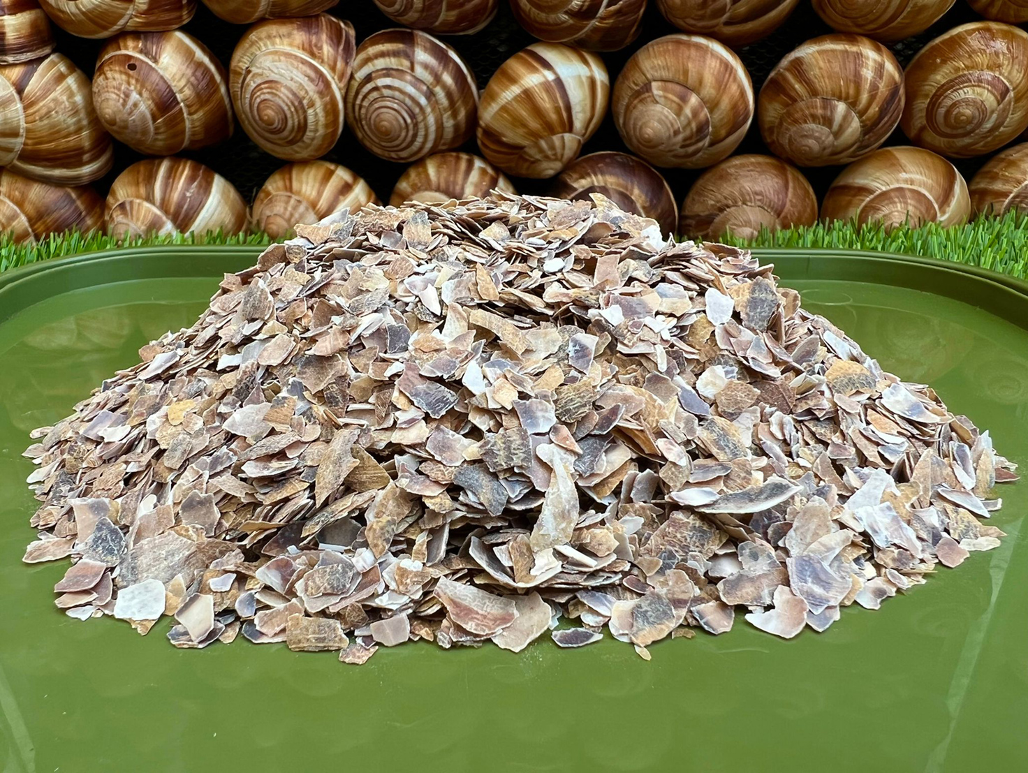 Picture of crushed snail shells