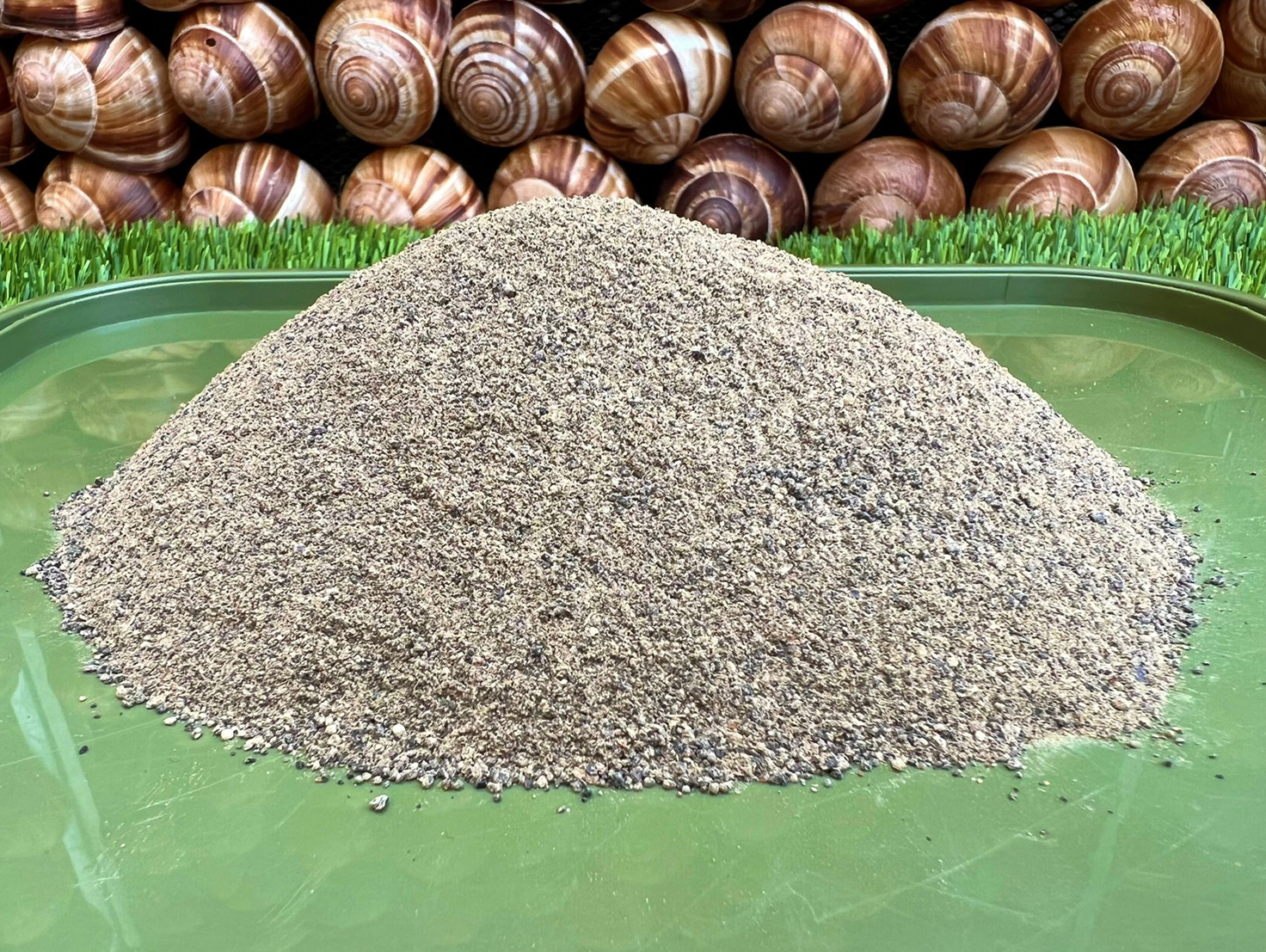 Picture of powdered snail meat
