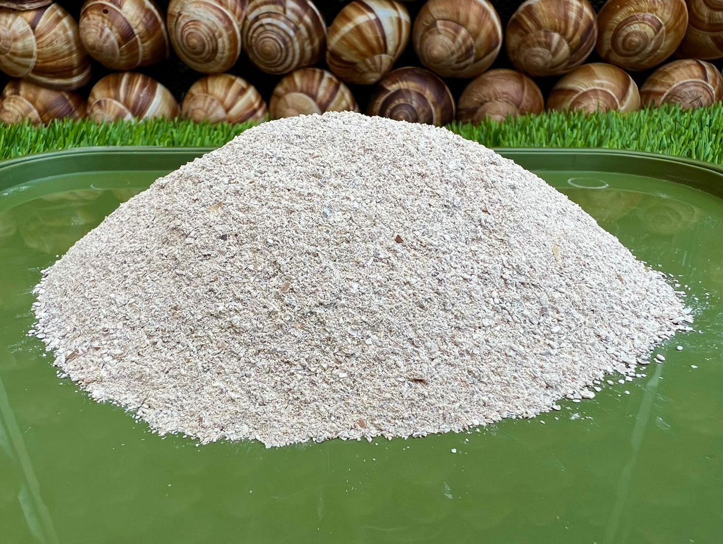 Picture of powdered snail shells